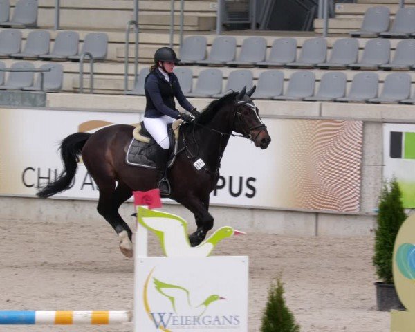 Reitturnier Aachen 2024