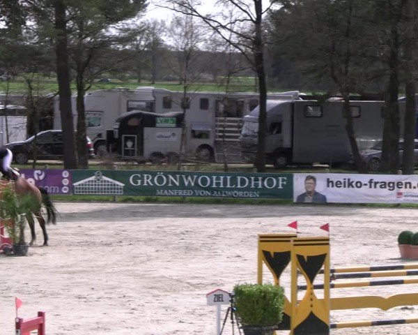 Reitturnier Westergellersen 2024