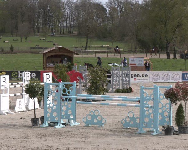 Reitturnier Westergellersen 2024