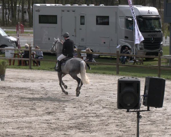 Reitturnier Westergellersen 2024