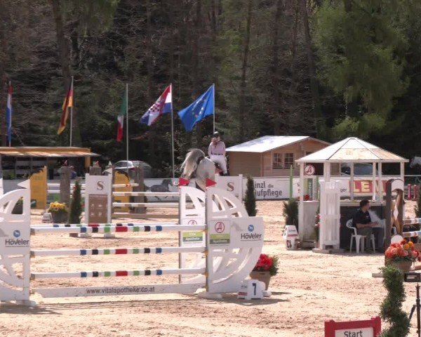 Reitturnier Ranshofen - Braunau am Inn 2024