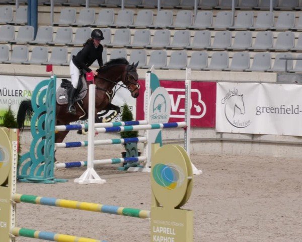 Reitturnier Aachen 2024