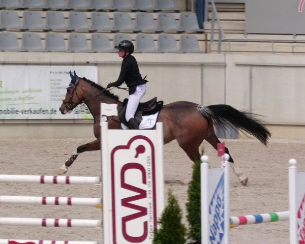 Reitturnier Aachen 2024
