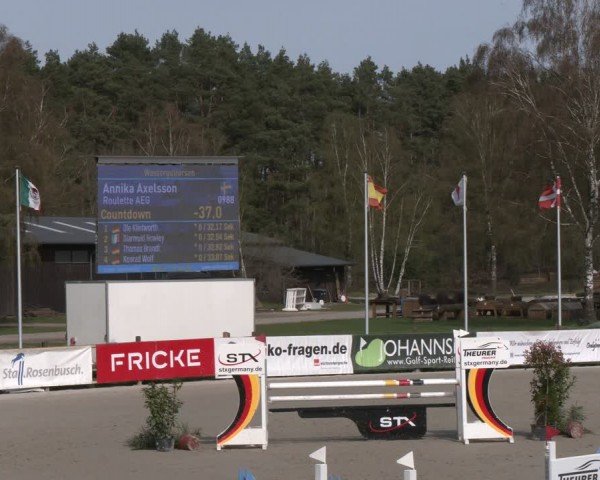 Reitturnier Westergellersen 2024