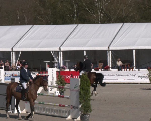 Reitturnier Westergellersen 2024