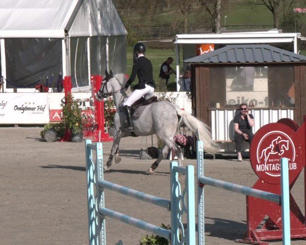 Reitturnier Westergellersen 2024