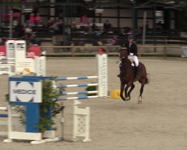 Reitturnier Balve-Wocklum 2024