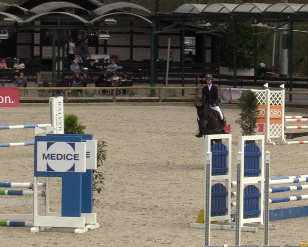 Reitturnier Balve-Wocklum 2024