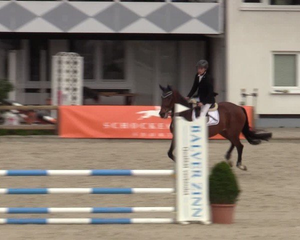 Reitturnier Balve-Wocklum 2024