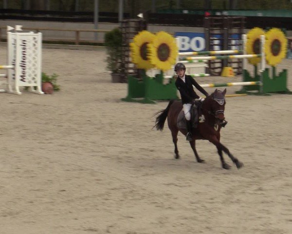 Reitturnier Balve-Wocklum 2024