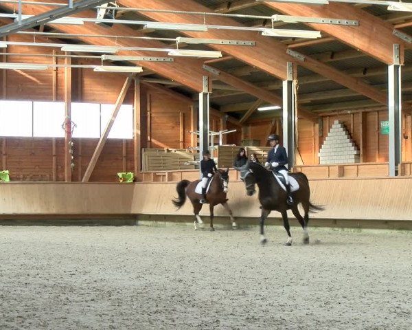 Reitturnier Isny-Rohrdorf 2021