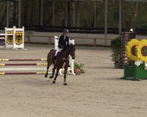 Reitturnier Balve-Wocklum 2024
