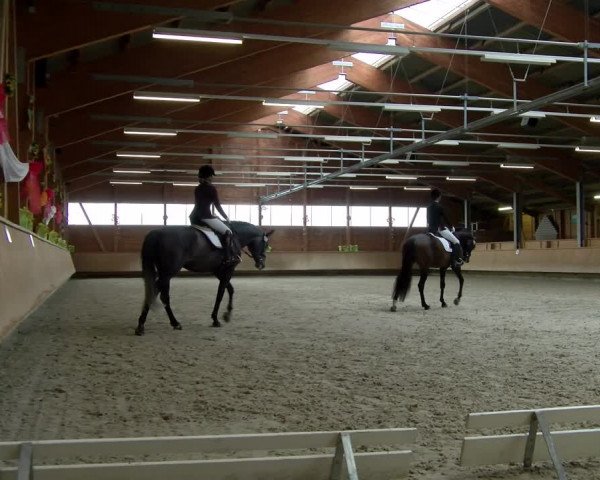 Reitturnier Isny-Rohrdorf 2021