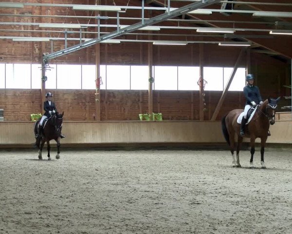 Reitturnier Isny-Rohrdorf 2021