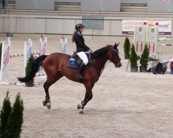 Reitturnier Aachen 2024