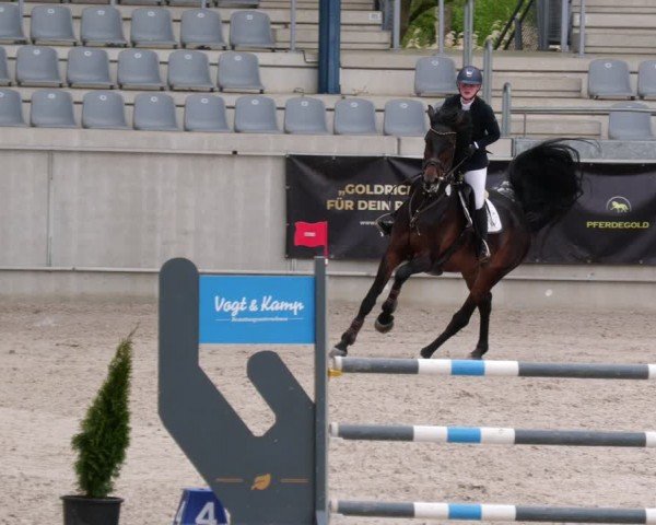 Reitturnier Aachen 2024