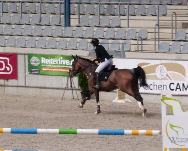Reitturnier Aachen 2024