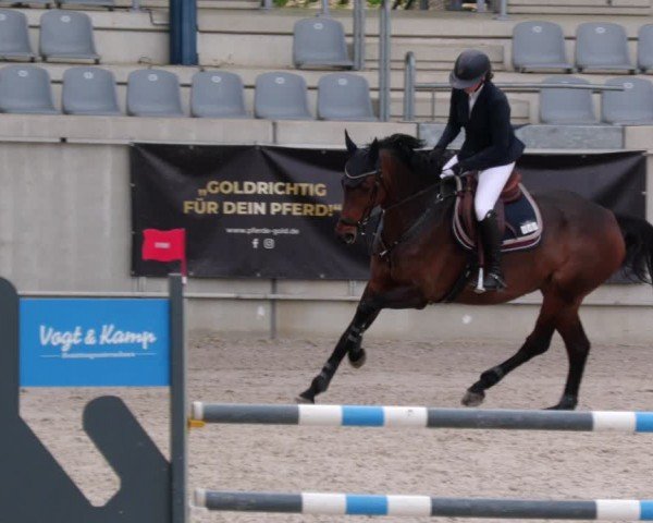 Reitturnier Aachen 2024