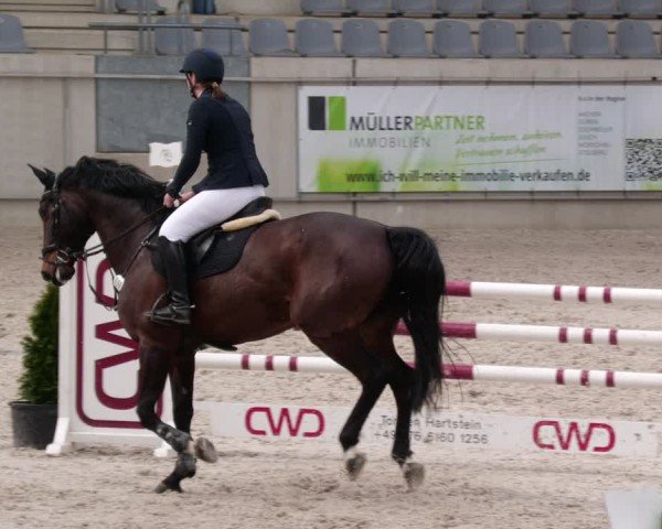 Reitturnier Aachen 2024