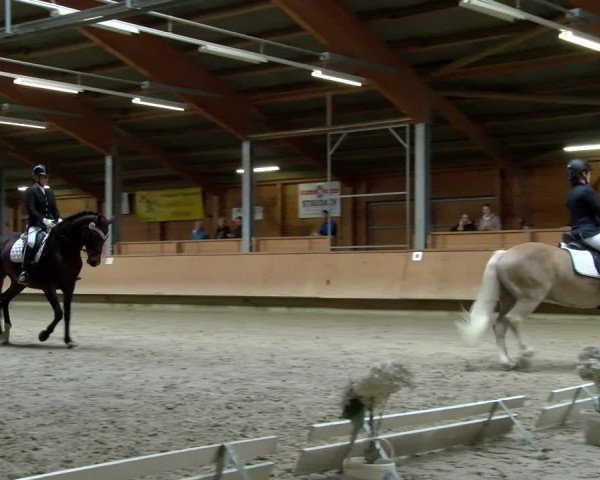 Reitturnier Isny-Rohrdorf 2021