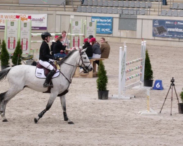 Reitturnier Aachen 2024
