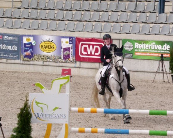 Reitturnier Aachen 2024