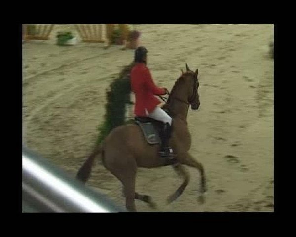 Warsteiner Champions Trophy 2011