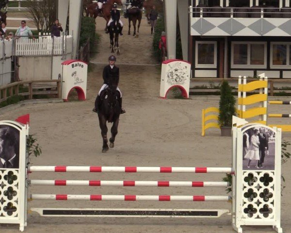 Reitturnier Balve-Wocklum 2024