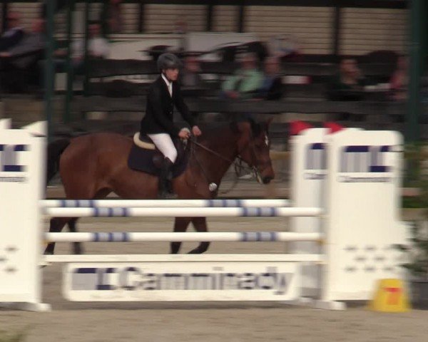 Reitturnier Balve-Wocklum 2024