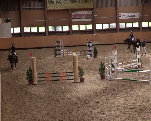 Rideturnering Fehraltorf 2024