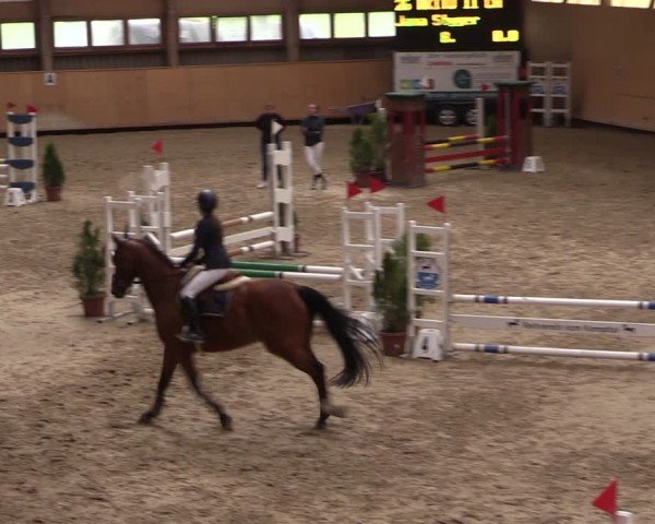 Reitturnier Fehraltorf 2024