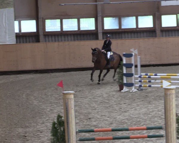 Reitturnier Fehraltorf 2024