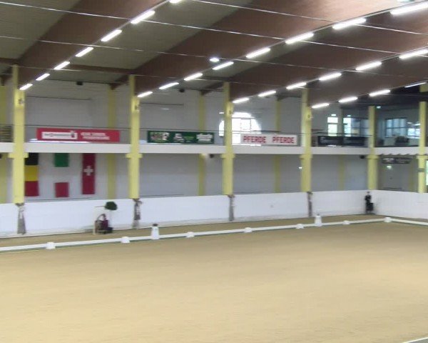FEI Dressurturnier Stadl Paura 2024