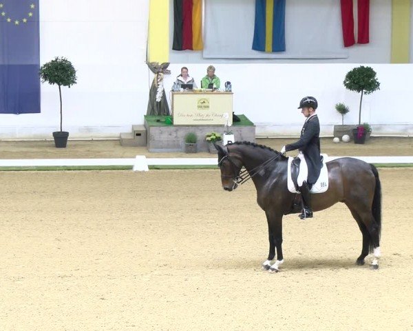 FEI Dressurturnier Stadl Paura 2024