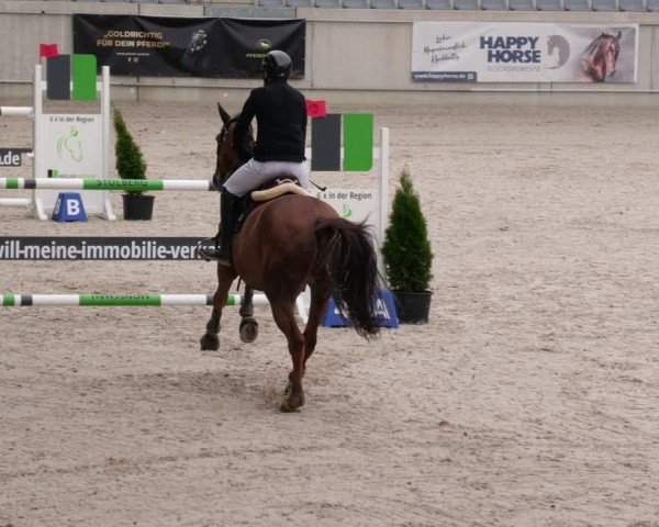 Reitturnier Aachen 2024