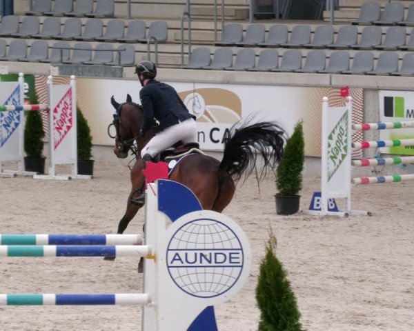 Reitturnier Aachen 2024