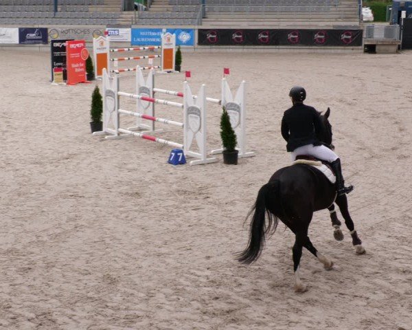 Reitturnier Aachen 2024