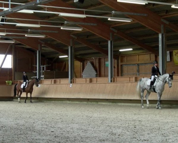 Reitturnier Isny-Rohrdorf 2021