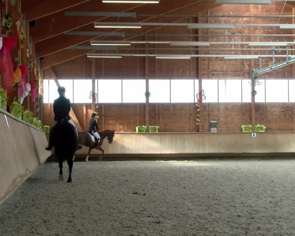 Reitturnier Isny-Rohrdorf 2021