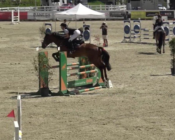 Reitturnier St. Margarethen 2024