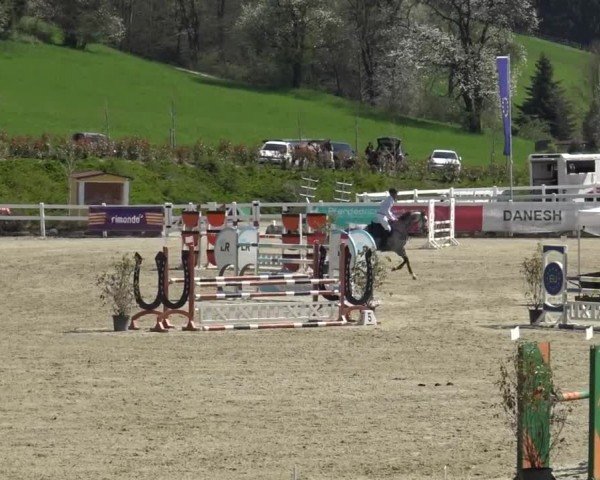 Reitturnier St. Margarethen 2024
