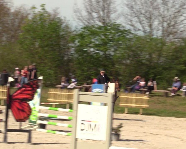 Reitturnier Pietzpuhl 2024