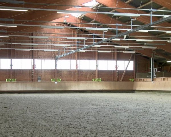 Reitturnier Isny-Rohrdorf 2021