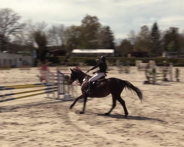 Reitturnier Pietzpuhl 2024