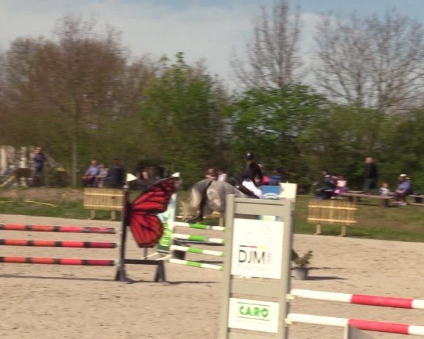 Reitturnier Pietzpuhl 2024