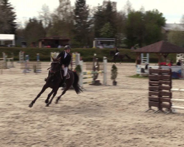 Reitturnier Pietzpuhl 2024