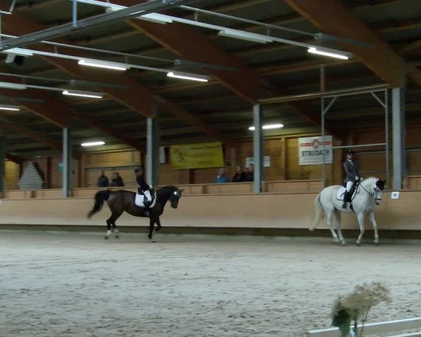 Reitturnier Isny-Rohrdorf 2021
