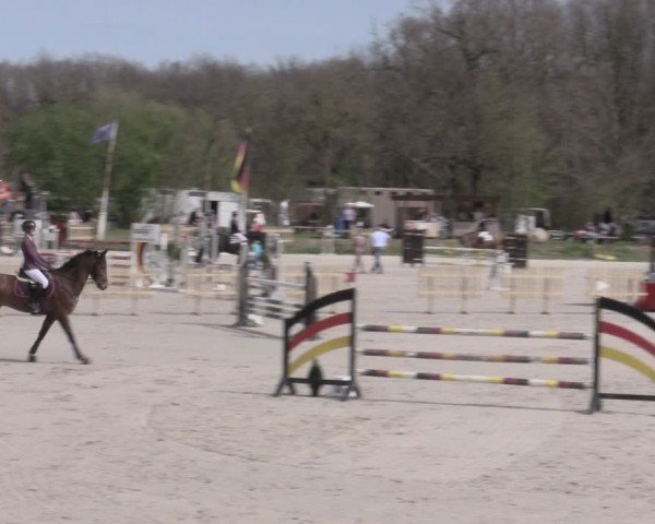 Reitturnier Pietzpuhl 2024