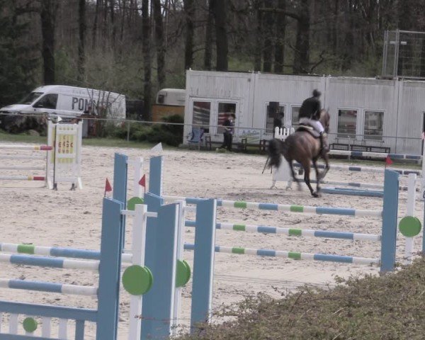 Reitturnier Pietzpuhl 2024