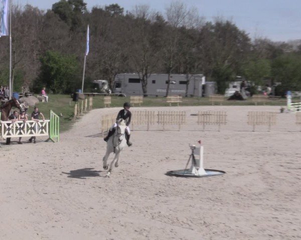 Reitturnier Pietzpuhl 2024